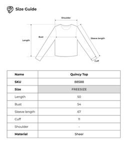 Áo blouse tay dài bèo nhún chất tơ THE C.I.U – Quincy Top