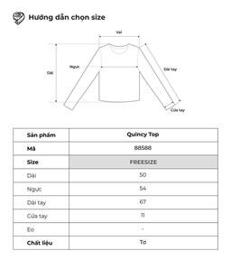 Áo blouse tay dài bèo nhún chất tơ THE C.I.U – Quincy Top